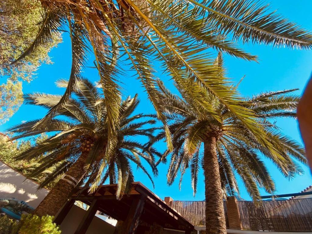 Apartamentos Montgo Denia Kültér fotó